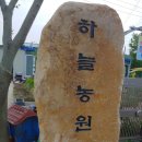 정순옥농장 네이버블로그