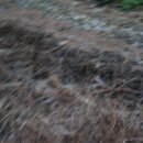 고향골공원 이미지