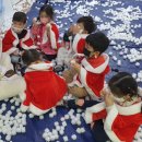 피노키오유아스쿨어린이집 이미지