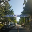 TOP태권도 이미지