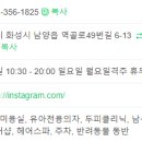 장스헤어 이미지