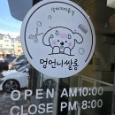 멍데이 살롱 | 군포애견미용실 멍언니쌀롱 말티즈 우유 강아지미용
