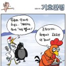 오늘의 신문 시사만평(Today Cartoon) 2011년 1월 13일【목요일】 이미지