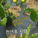 청학로학교길 이미지