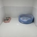 두두펫케어 이미지