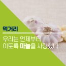 재단법인 남해마늘연구소 이미지