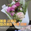 서구-19 | 봄을 사 오는 곳, 인천 서구 꽃집 청라꽃 '부들' 후기