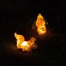 수봉공원 (유아숲체험원) 이미지