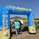 꽃못 | 제주 녹산로 벚꽃, 유채꽃길 유채꽃 축제 후기