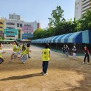 부천부흥초 이미지