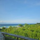 브레드판다(BREAD PANDA) | 🇵🇭 필리핀 세부 모알보알 숙소 솔직 후기