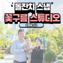 대전 돌잔치 스냅 [꽃구름스튜디오] 후기