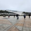 삼성A_대우A_서 | 모델Y 출고 후기, 광명 테슬라 딜리버리센터 셀프 인도 A to Z