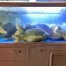 석전동293 이미지