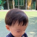 거송축산 이미지