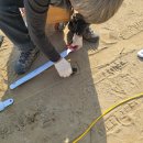 성남은행초등학교 이미지