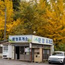 충장사매점
