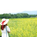 5월6일~8일(2박3일) 경주, 울산 감성여행 이미지