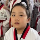 용인대석사명품태권도 이미지