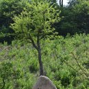 (주)피엔피컴퍼니 이미지