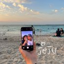 보림목장 | Jeju ෆ｡.