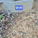 모처럼. 홍성에 다녀왔어요 이미지