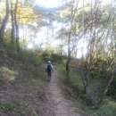 지리산남악제 | 지리산둘레길 22코스(주천~산동), 21코스(산동~방광), 20코스(방광~오미)