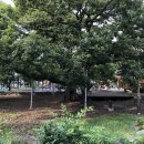 구진벌공원 이미지