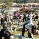 메디클래스 이미지