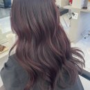 바이올렛 | [창원 상남동] 비비엔느헤어 : 레드바이올렛 염색 후기 나영디렉터