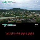 제주집2012
