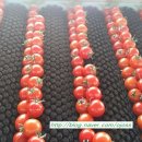 가경농장 이미지