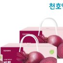 비트케어 네이버블로그