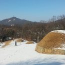 분두골 네이버블로그