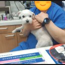 청계종합동물병원 이미지