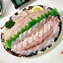 [속초/회 맛집] 한스키친 회포장(내돈내산 후기) - 광어 한 마리 우럭 한 마리, 물회
