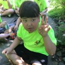 다윈태권도 이미지