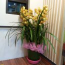 아이큰햇빛어린이집 이미지