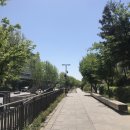 강남구청 대여소 | 강남 나들이 [프렌치 팝아트/ 홍리마라탕 / 서울시따릉이 / 뚝섬유원지 ]