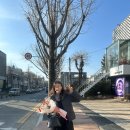 미스켄싱턴 | #임신일기(~12주), 행복한 임신 초기 생활