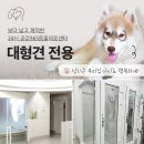 별내동물병원 이미지