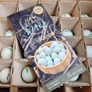 순천청계농장 이미지