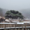 우방조경식물원 이미지