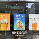 하타네 구월로데오 이미지