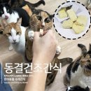 터치드바이뉴질랜드 이미지