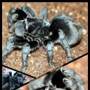 지호농장 이미지