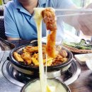 애견본가 티스토리