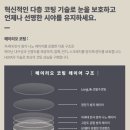 리오리