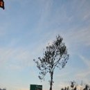 전영상선생 기적비 이미지