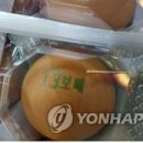 푸른영농조합법인 이미지